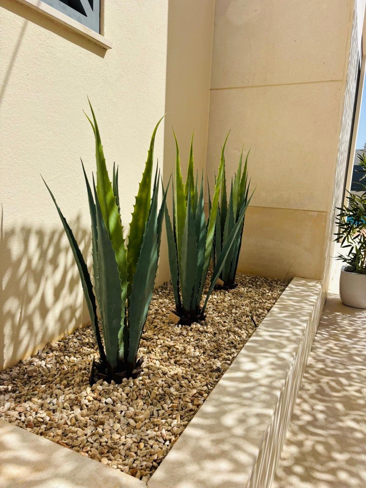 Imagem WhatsApp 2025-10-21 às 12.36.28_e41088a9